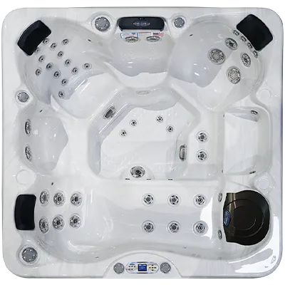 Avalon EC-849L hot tubs for sale in Kentwood